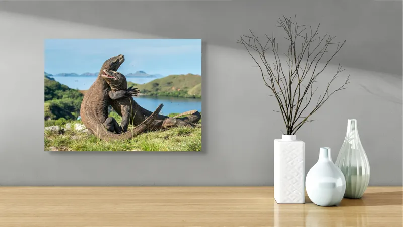 Tablou Canvas, "Îmbrățișarea dragonilor de Komodo", Balans, Natură, Forță, Întindere, Armonie, Salbaticie, Lumină, Peisaj, Verzișor, Relaxare., 54 x 39 cm – poza 3
