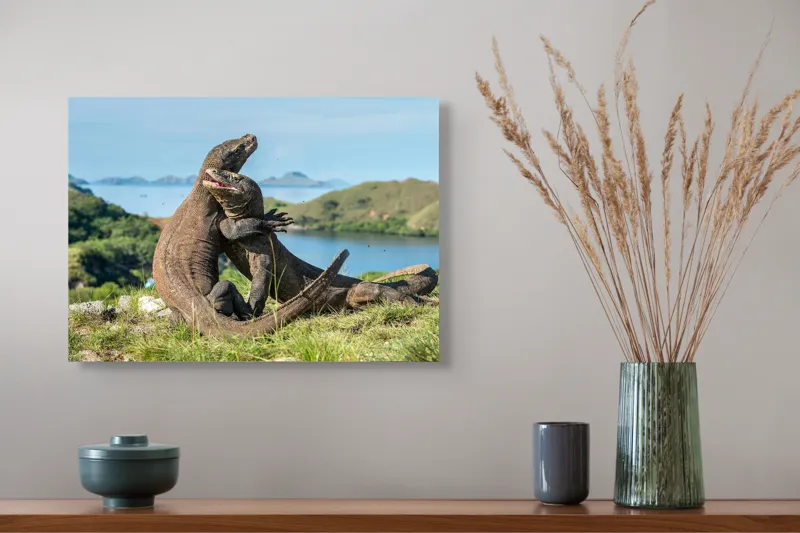 Tablou Canvas, "Îmbrățișarea dragonilor de Komodo", Balans, Natură, Forță, Întindere, Armonie, Salbaticie, Lumină, Peisaj, Verzișor, Relaxare., 54 x 39 cm – poza 4