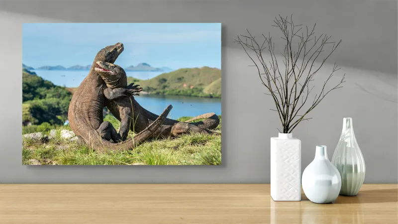 Tablou Canvas, "Îmbrățișarea dragonilor de Komodo", Balans, Natură, Forță, Întindere, Armonie, Salbaticie, Lumină, Peisaj, Verzișor, Relaxare., 70 x 50 cm – poza 3