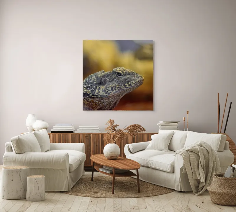 Tablou Canvas, Șopârlă, Textură, Scame, Culori, Natură, Reptilă, Mediu., 100 x 100 cm – poza 3