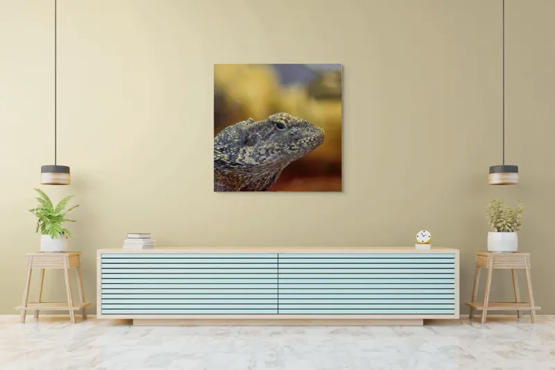 Tablou Canvas, Șopârlă, Textură, Scame, Culori, Natură, Reptilă, Mediu., 100 x 100 cm – poza 5