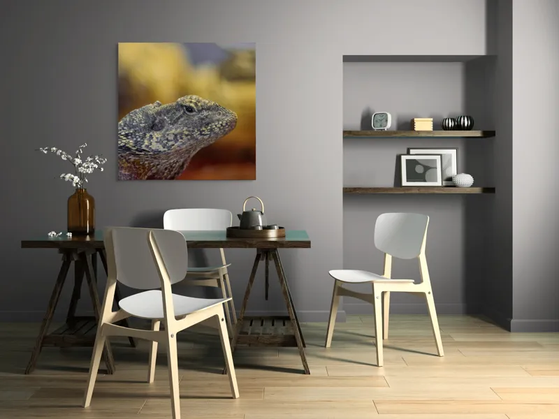 Tablou Canvas, Șopârlă, Textură, Scame, Culori, Natură, Reptilă, Mediu., 100 x 100 cm – poza 6