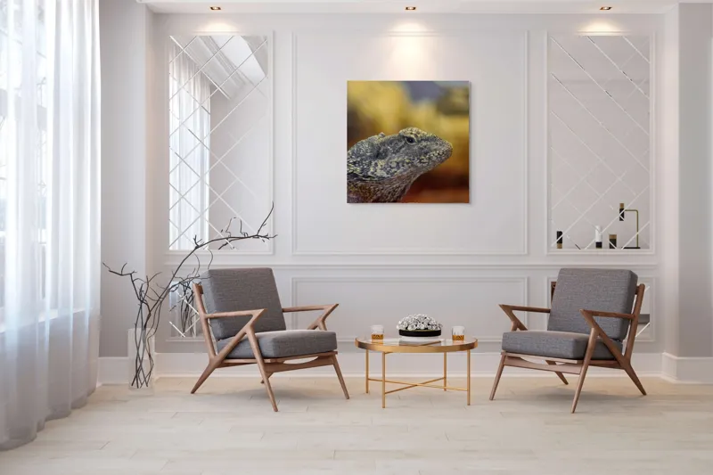 Tablou Canvas, Șopârlă, Textură, Scame, Culori, Natură, Reptilă, Mediu., 100 x 100 cm – poza 7