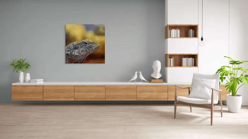 Tablou Canvas, Șopârlă, Textură, Scame, Culori, Natură, Reptilă, Mediu., 100 x 100 cm – poza 8