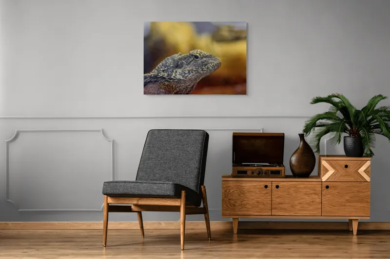 Tablou Canvas, "Nu știu cine este în imagine.", Șopârlă, Textură, Scame, Culori, Natură, Reptilă, Mediu., 100 x 70 cm – poza 8