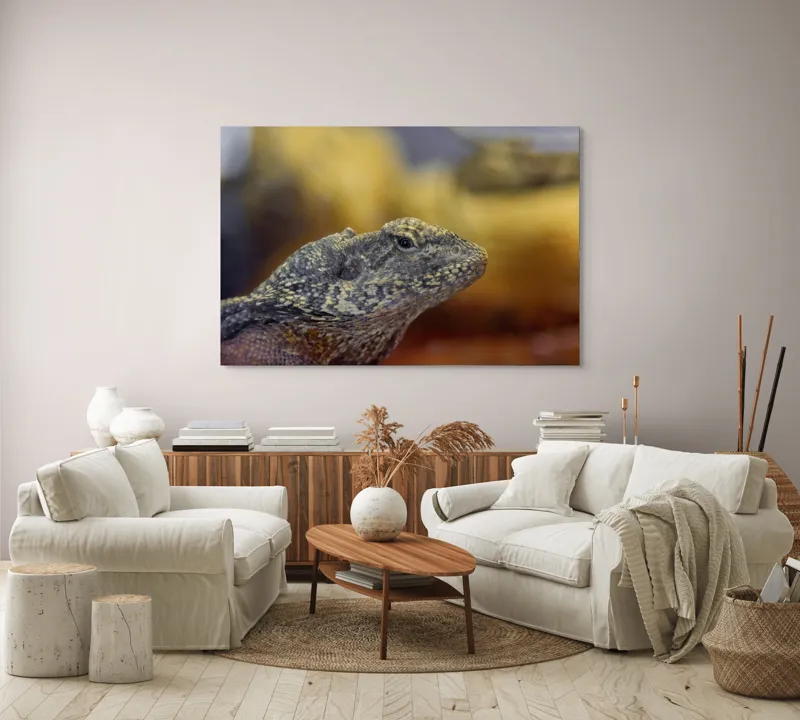 Tablou Canvas, Șopârlă, Textură, Scame, Culori, Natură, Reptilă, Mediu., 150 x 100 cm – poza 3