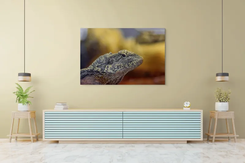 Tablou Canvas, Șopârlă, Textură, Scame, Culori, Natură, Reptilă, Mediu., 150 x 100 cm – poza 6