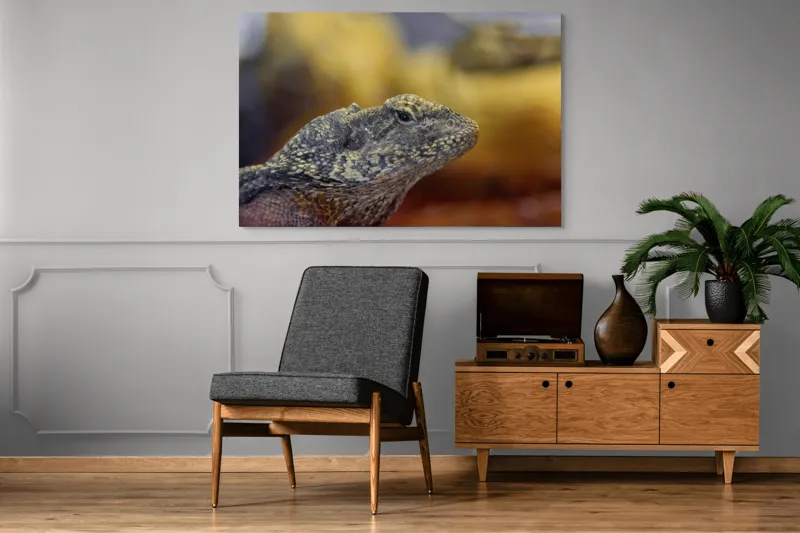 Tablou Canvas, Șopârlă, Textură, Scame, Culori, Natură, Reptilă, Mediu., 150 x 100 cm – poza 8