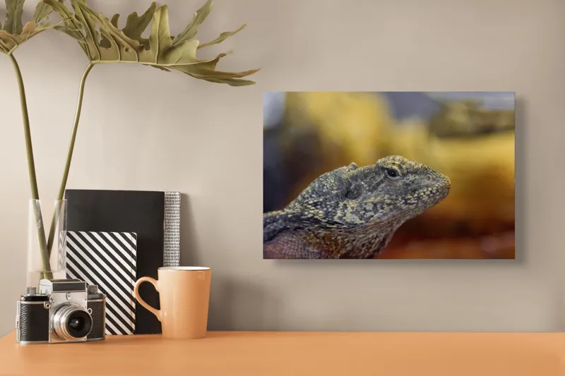 Tablou Canvas, Șopârlă, Textură, Scame, Culori, Natură, Reptilă, Mediu., 39 x 26 cm – poza 3