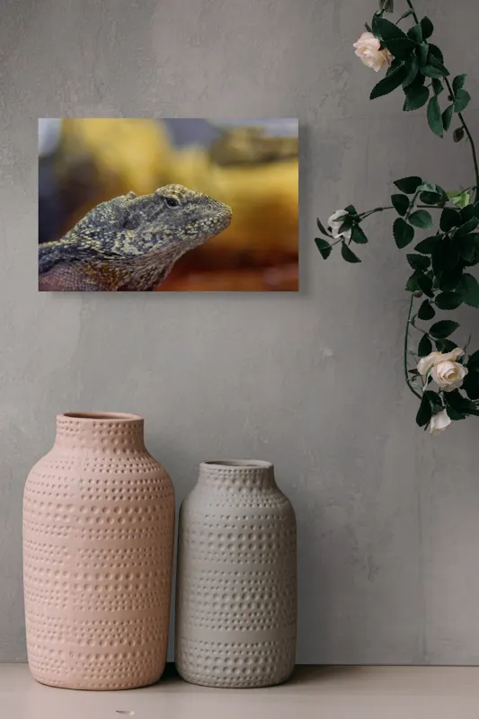 Tablou Canvas, Șopârlă, Textură, Scame, Culori, Natură, Reptilă, Mediu., 39 x 26 cm – poza 4