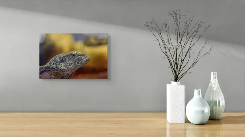 Tablou Canvas, Șopârlă, Textură, Scame, Culori, Natură, Reptilă, Mediu., 39 x 26 cm – poza 8