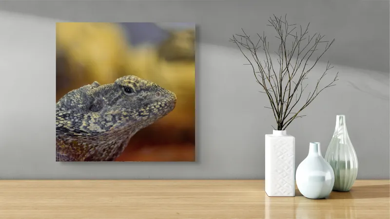 Tablou Canvas, Șopârlă, Textură, Scame, Culori, Natură, Reptilă, Mediu., 50 x 50 cm – poza 3