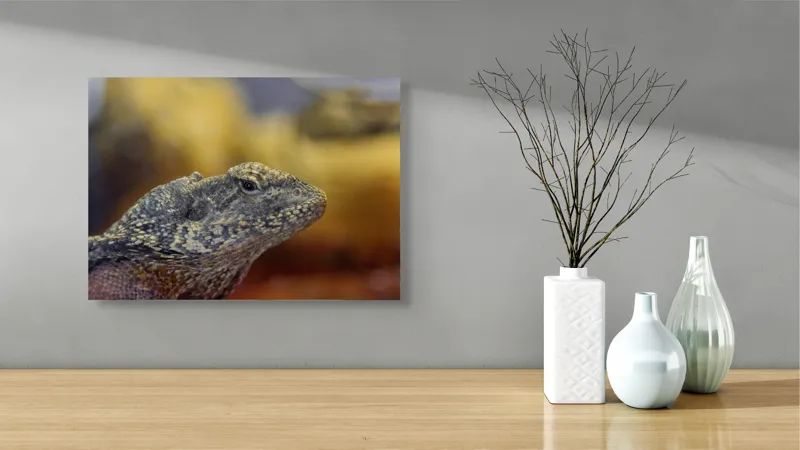 Tablou Canvas, Șopârlă, Textură, Scame, Culori, Natură, Reptilă, Mediu., 54 x 39 cm – poza 3