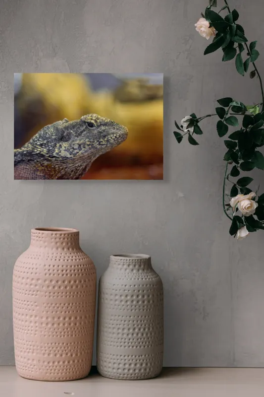Tablou Canvas, Șopârlă, Textură, Scame, Culori, Natură, Reptilă, Mediu., 54 x 39 cm – poza 8
