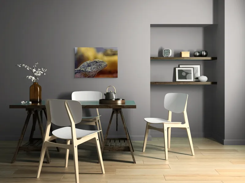 Tablou Canvas, Șopârlă, Textură, Scame, Culori, Natură, Reptilă, Mediu., 70 x 50 cm – poza 5