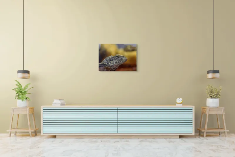 Tablou Canvas, Șopârlă, Textură, Scame, Culori, Natură, Reptilă, Mediu., 70 x 50 cm – poza 7