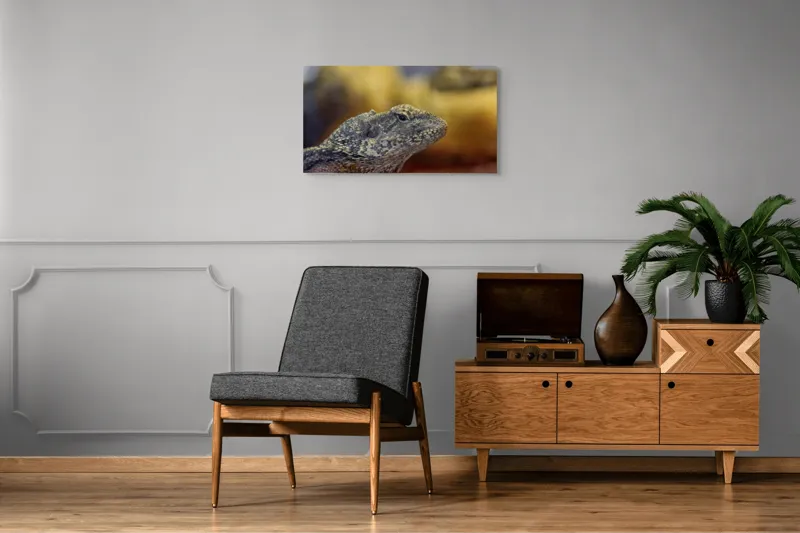 Tablou Canvas, Șopârlă, Textură, Scame, Culori, Natură, Reptilă, Mediu., 90 x 50 cm – poza 6