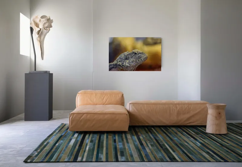 Tablou Canvas, Șopârlă, Textură, Scame, Culori, Natură, Reptilă, Mediu., 90 x 50 cm – poza 8