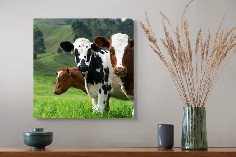 Tablou Canvas, "Vaci în peisaj de primăvară", Vaci, Pășune, Verdeață, Coline, Cer, Natură, Suavitate, Contrast, 50 x 50 cm – poza 4