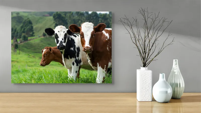 Tablou Canvas, "Vaci în peisaj de primăvară", Vaci, Pășune, Verdeață, Coline, Cer, Natură, Suavitate, Contrast, 70 x 50 cm – poza 3