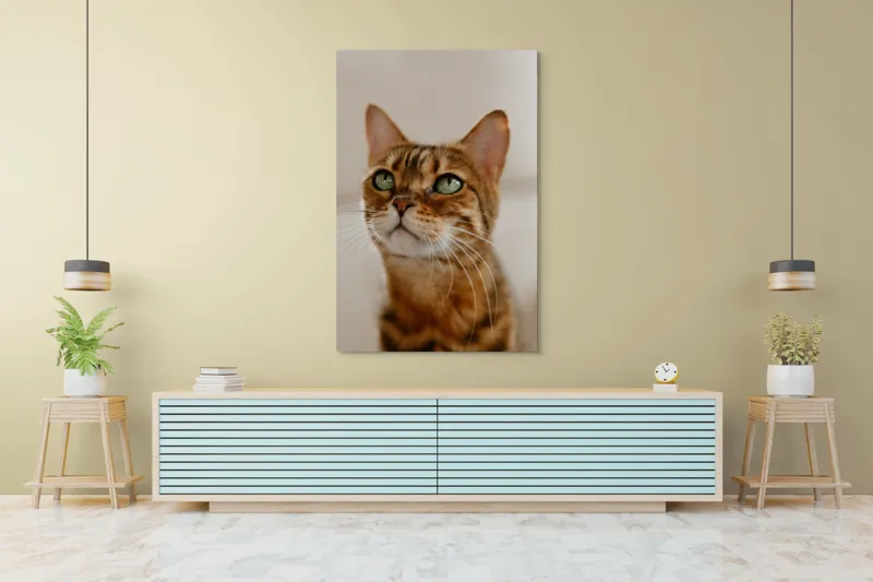 Tablou Canvas, "Tandrețea privirii feline încântătoare", Urechi, Mustăți, Blană, Ochii, Marmorată, Privire, Gingașă, Pisică, 100 x 150 cm – poza 4