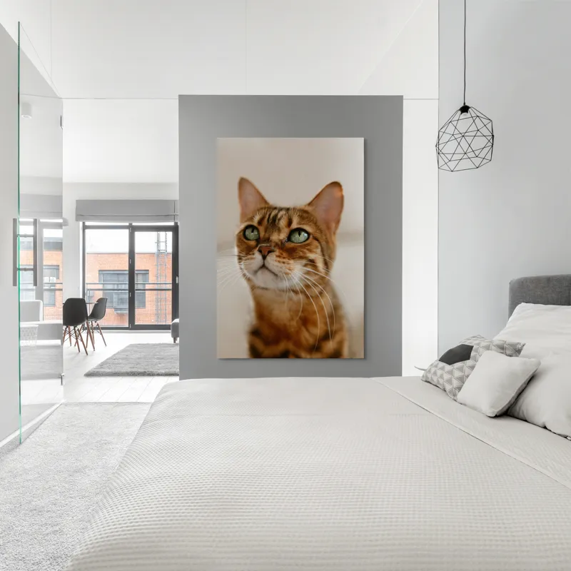 Tablou Canvas, "Tandrețea privirii feline încântătoare", Urechi, Mustăți, Blană, Ochii, Marmorată, Privire, Gingașă, Pisică, 100 x 150 cm – poza 5