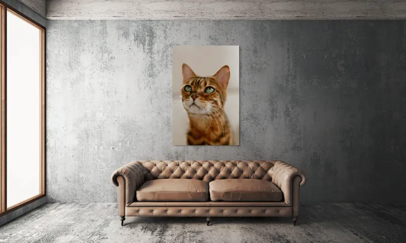Tablou Canvas, "Tandrețea privirii feline încântătoare", Urechi, Mustăți, Blană, Ochii, Marmorată, Privire, Gingașă, Pisică, 100 x 150 cm – poza 6