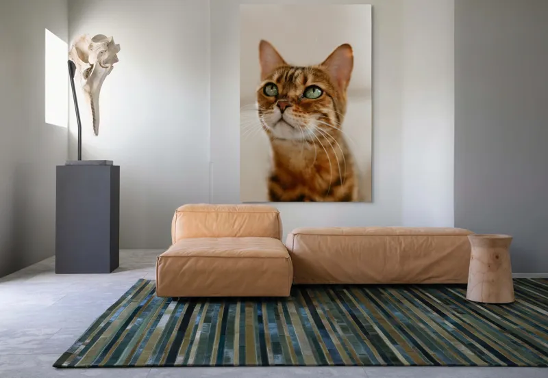 Tablou Canvas, "Tandrețea privirii feline încântătoare", Urechi, Mustăți, Blană, Ochii, Marmorată, Privire, Gingașă, Pisică, 100 x 150 cm – poza 7