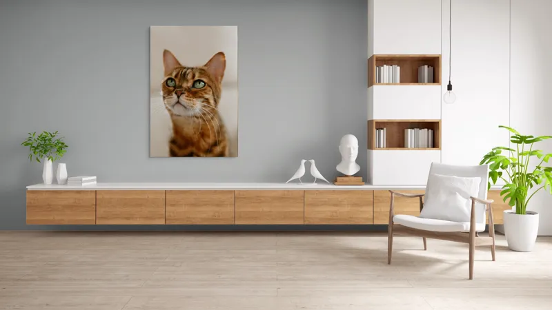 Tablou Canvas, "Tandrețea privirii feline încântătoare", Urechi, Mustăți, Blană, Ochii, Marmorată, Privire, Gingașă, Pisică, 100 x 150 cm – poza 8