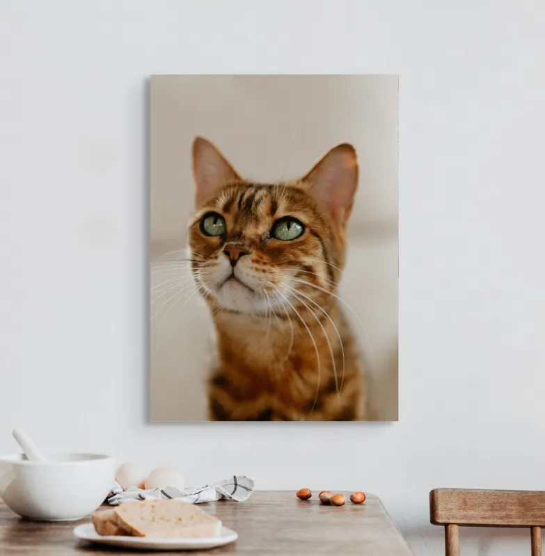 Tablou Canvas, "Tandrețea privirii feline încântătoare", Urechi, Mustăți, Blană, Ochii, Marmorată, Privire, Gingașă, Pisică, 50 x 70 cm – poza 3