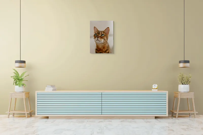 Tablou Canvas, "Tandrețea privirii feline încântătoare", Urechi, Mustăți, Blană, Ochii, Marmorată, Privire, Gingașă, Pisică, 50 x 70 cm – poza 6