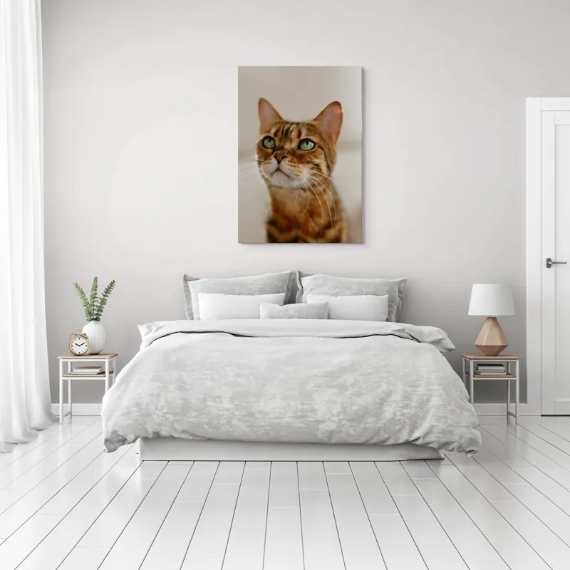 Tablou Canvas, "Tandrețea privirii feline încântătoare", Urechi, Mustăți, Blană, Ochii, Marmorată, Privire, Gingașă, Pisică, 70 x 100 cm – poza 3