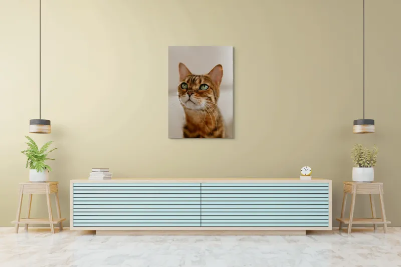 Tablou Canvas, "Tandrețea privirii feline încântătoare", Urechi, Mustăți, Blană, Ochii, Marmorată, Privire, Gingașă, Pisică, 70 x 100 cm – poza 5