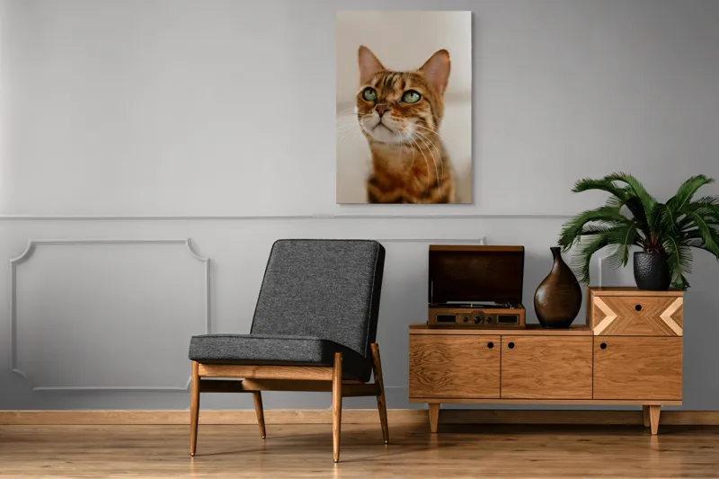 Tablou Canvas, "Tandrețea privirii feline încântătoare", Urechi, Mustăți, Blană, Ochii, Marmorată, Privire, Gingașă, Pisică, 70 x 100 cm – poza 6