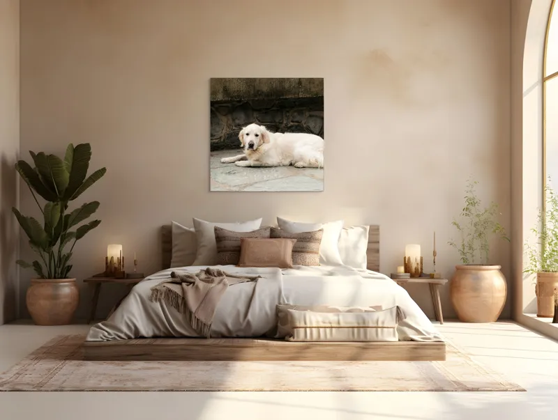Tablou Canvas, "Câinele odihnindu-se pe terasă de piatră", 100 x 100 cm – poza 4
