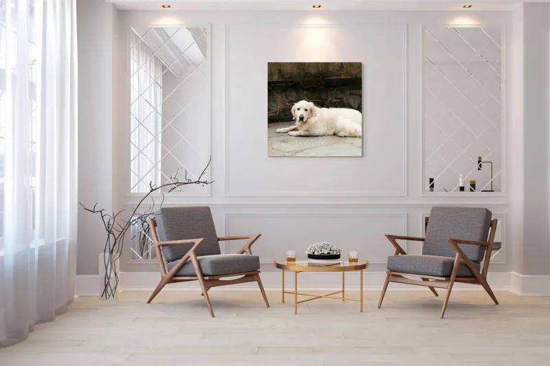 Tablou Canvas, "Câinele odihnindu-se pe terasă de piatră", 100 x 100 cm – poza 7