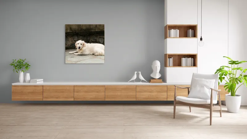 Tablou Canvas, "Câinele odihnindu-se pe terasă de piatră", 100 x 100 cm – poza 8