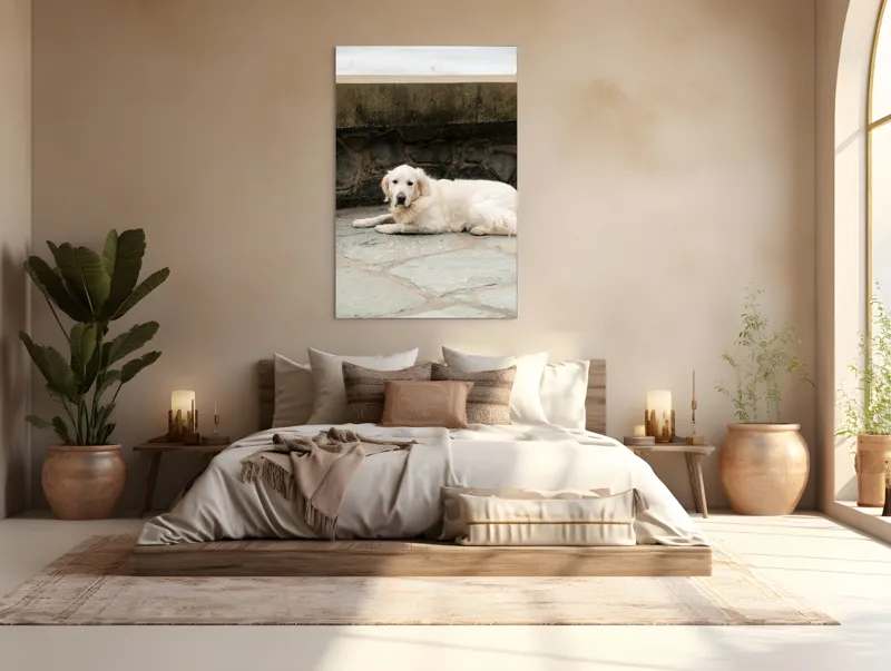 Tablou Canvas, "Câinele odihnindu-se pe terasă de piatră", Nu pot identifica persoane sau animale în imagini, dar pot vedea că este un câine întins pe o suprafață pietruită lângă un perete de piatră., 100 x 150 cm – poza 3