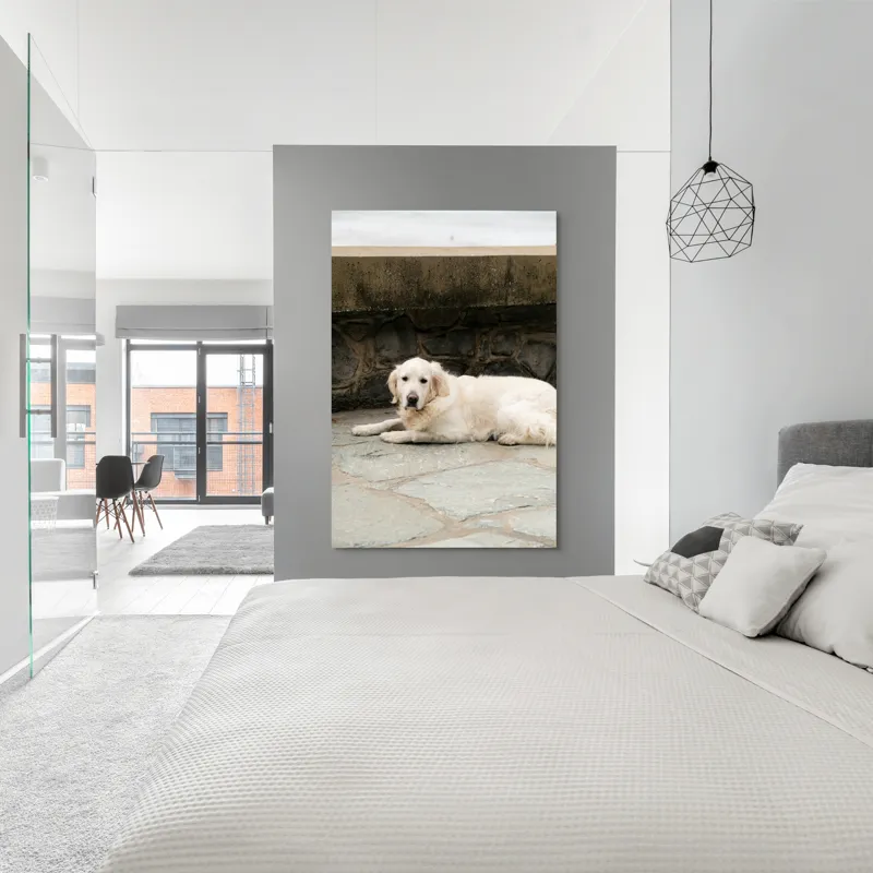 Tablou Canvas, "Câinele odihnindu-se pe terasă de piatră", Nu pot identifica persoane sau animale în imagini, dar pot vedea că este un câine întins pe o suprafață pietruită lângă un perete de piatră., 100 x 150 cm – poza 5
