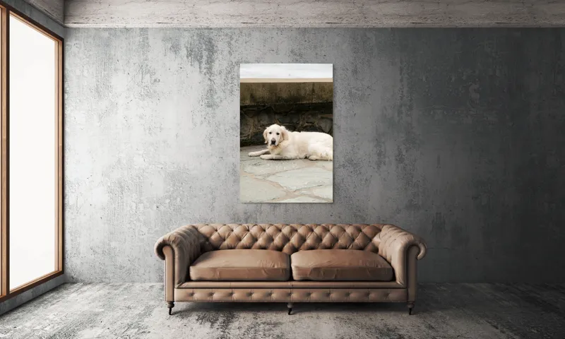 Tablou Canvas, "Câinele odihnindu-se pe terasă de piatră", Nu pot identifica persoane sau animale în imagini, dar pot vedea că este un câine întins pe o suprafață pietruită lângă un perete de piatră., 100 x 150 cm – poza 6