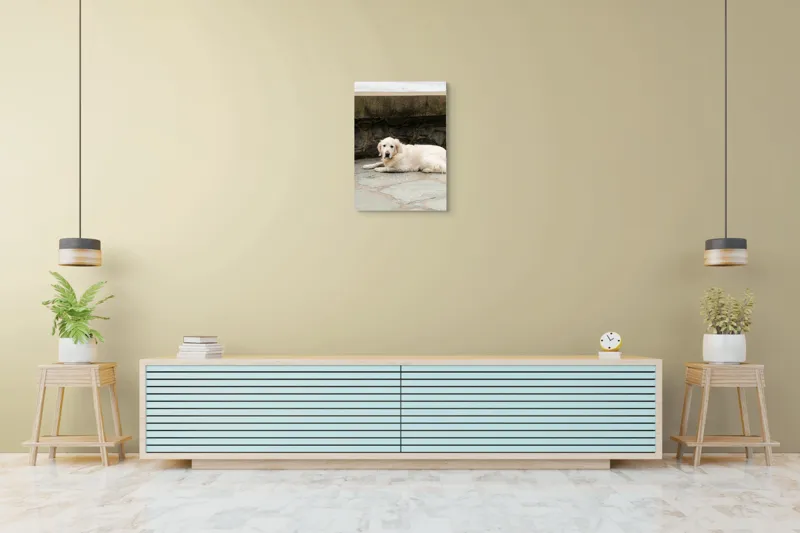 Tablou Canvas, "Câinele odihnindu-se pe terasă de piatră", 50 x 70 cm – poza 6
