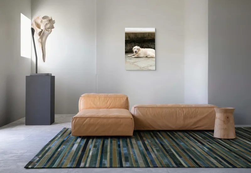Tablou Canvas, "Câinele odihnindu-se pe terasă de piatră", 50 x 70 cm – poza 7