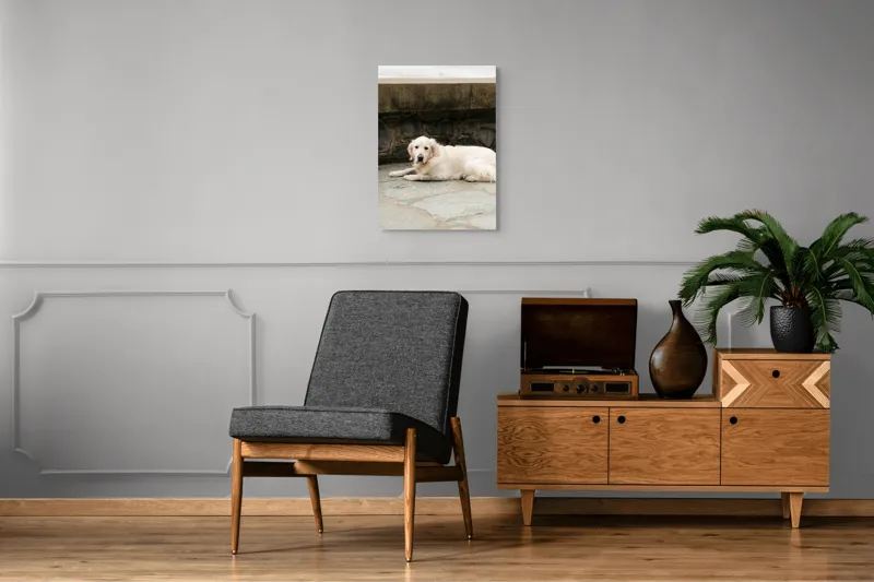 Tablou Canvas, "Câinele odihnindu-se pe terasă de piatră", 50 x 70 cm – poza 8