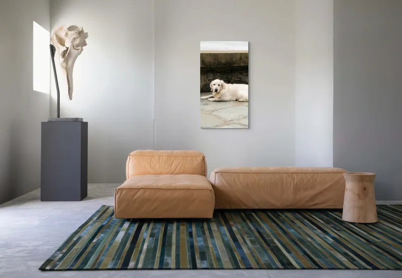 Tablou Canvas, "Câinele odihnindu-se pe terasă de piatră", 50 x 90 cm – poza 5