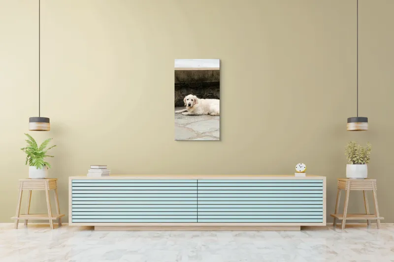 Tablou Canvas, "Câinele odihnindu-se pe terasă de piatră", 50 x 90 cm – poza 6