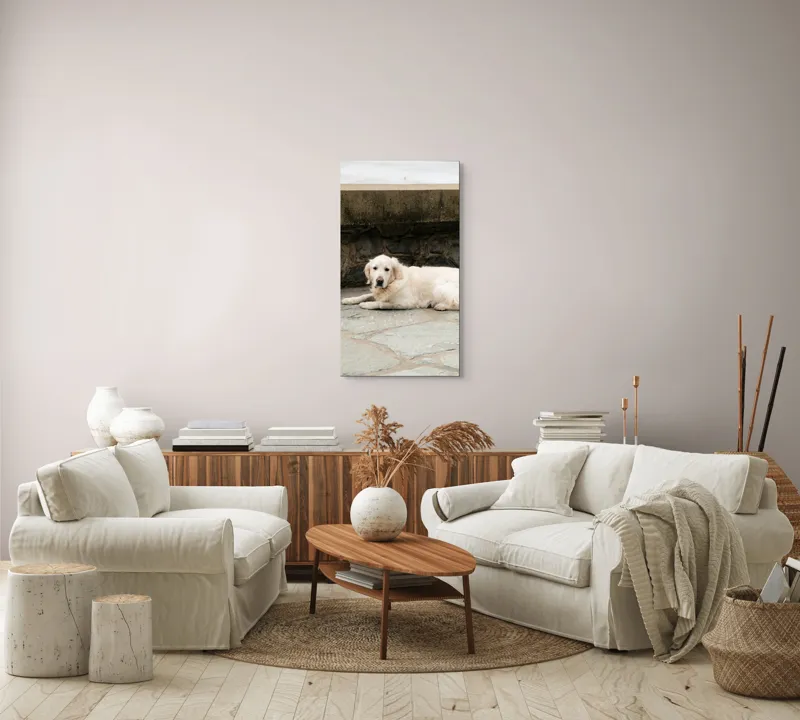 Tablou Canvas, "Câinele odihnindu-se pe terasă de piatră", 50 x 90 cm – poza 7