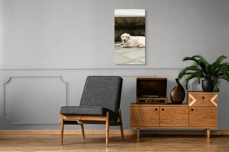Tablou Canvas, "Câinele odihnindu-se pe terasă de piatră", 50 x 90 cm – poza 8