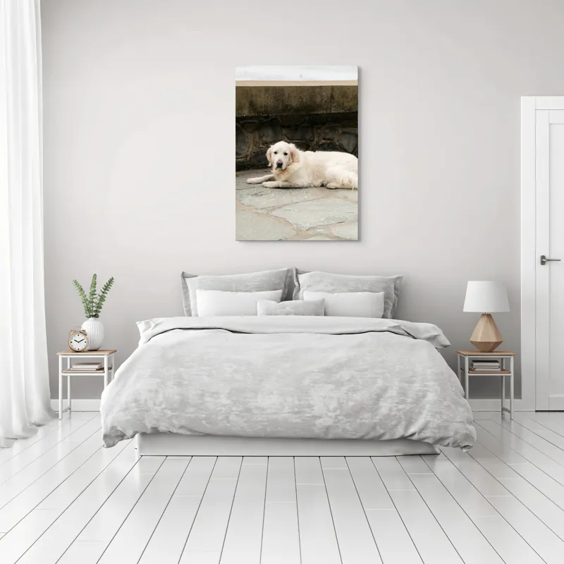 Tablou Canvas, "Câinele odihnindu-se pe terasă de piatră", 70 x 100 cm – poza 3