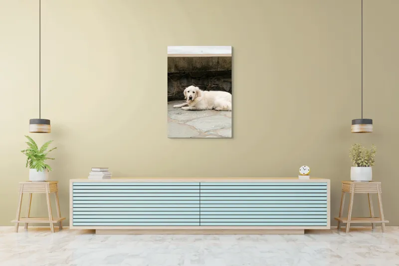 Tablou Canvas, "Câinele odihnindu-se pe terasă de piatră", 70 x 100 cm – poza 5