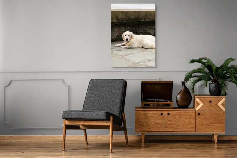Tablou Canvas, "Câinele odihnindu-se pe terasă de piatră", 70 x 100 cm – poza 6